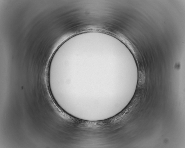 X0000098111098200805021127