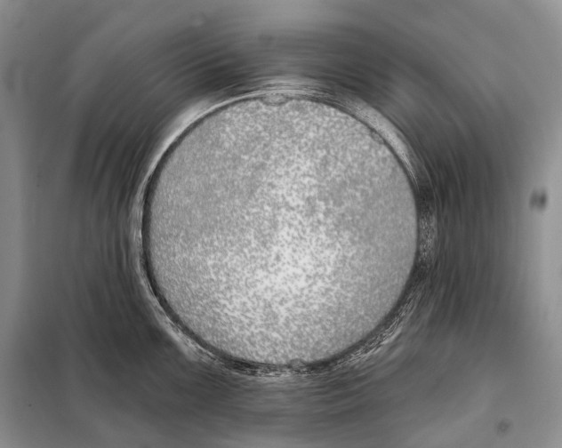 X0000098111099200805021127