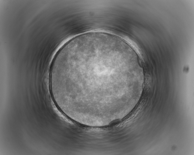 X0000098111100200805021127