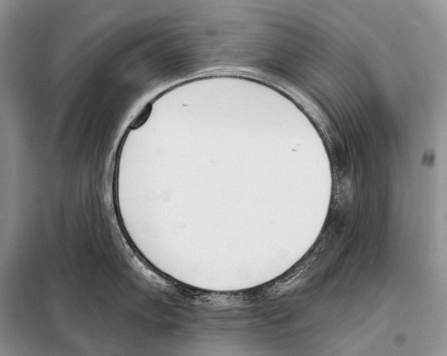 X0000098111102200805021127