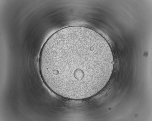 X0000098111103200805021127