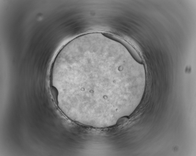 X0000098111104200805021127