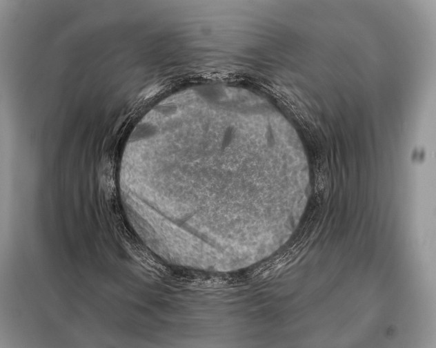 X0000098111106200805021126