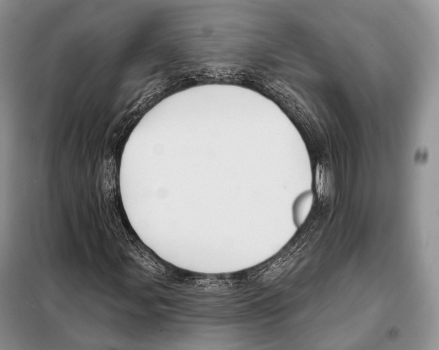 X0000098111107200805021126