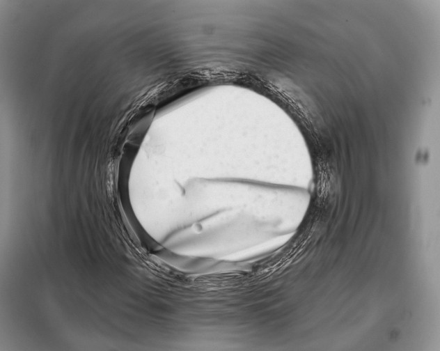 X0000098111108200805021126