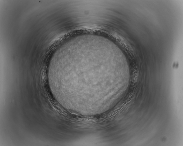 X0000098111110200805021126