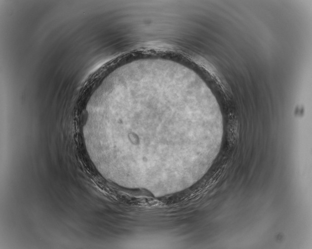 X0000098111112200805021126