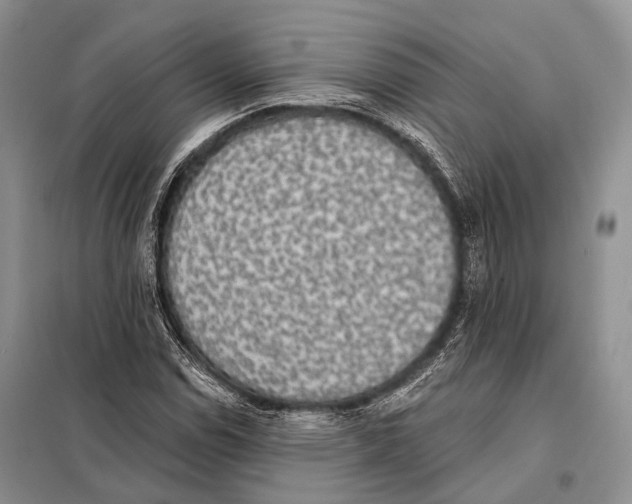 X0000098111114200805021126