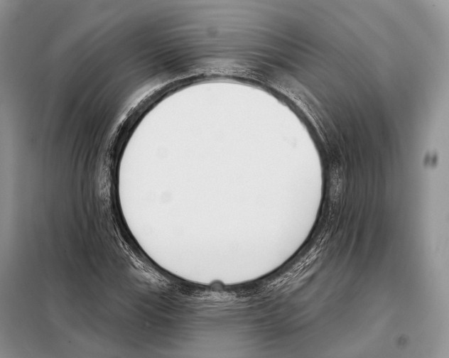 X0000098111115200805021126