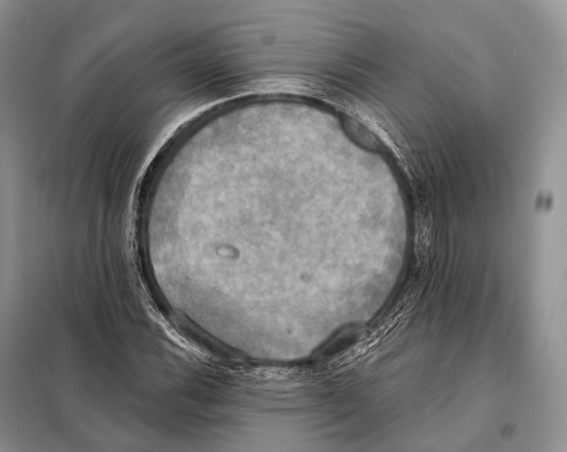 X0000098111116200805021126