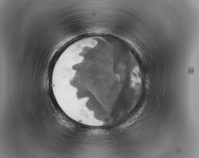 X0000098111117200805021126