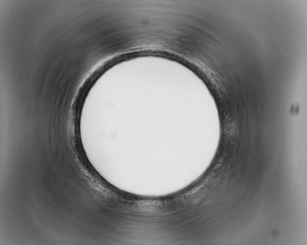 X0000098111118200805021126