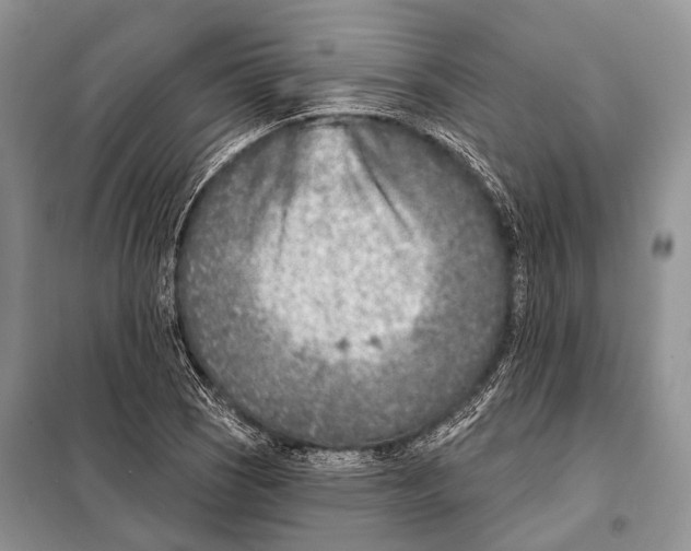 X0000098111121200805021127