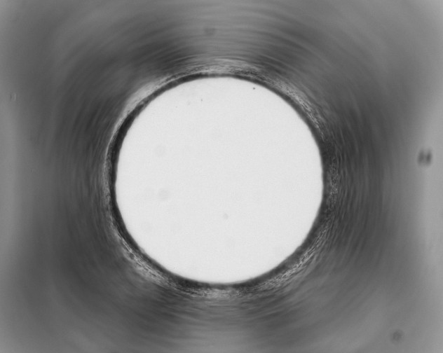 X0000098111122200805021127