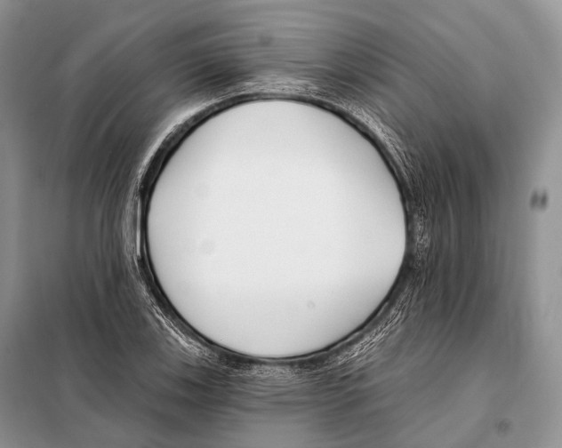 X0000098111123200805021127