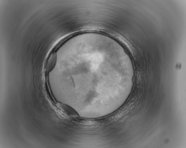 X0000098111124200805021127