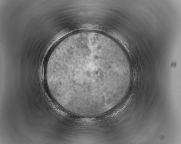 X0000098111125200805021127