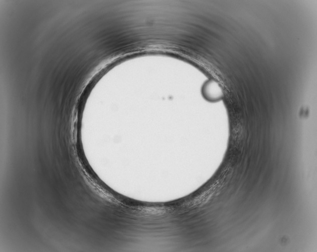 X0000098111126200805021127