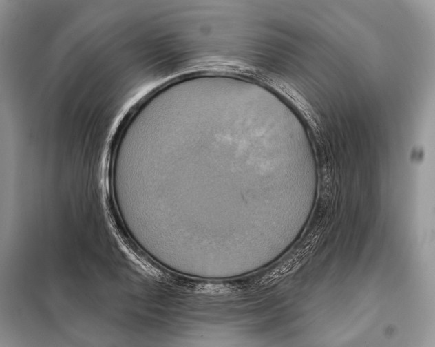 X0000098111128200805021127