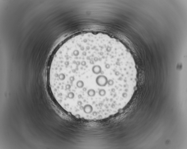 X0000098111130200805021127