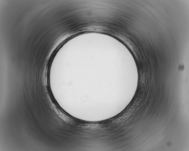 X0000098111131200805021127