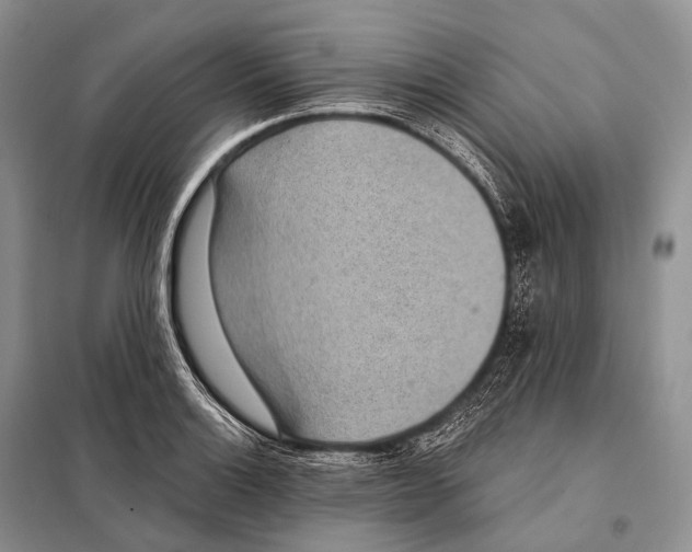 X0000098111132200805021127