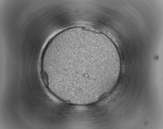 X0000098111136200805021127