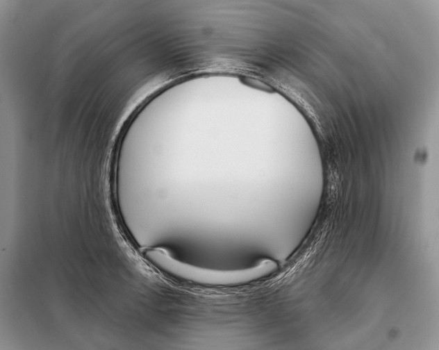 X0000098111138200805021127