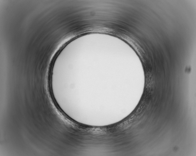 X0000098111139200805021127