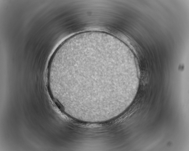 X0000098111140200805021127