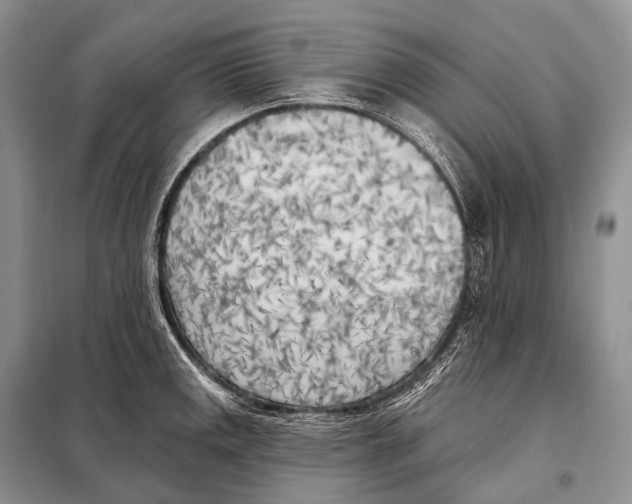 X0000098111141200805021127