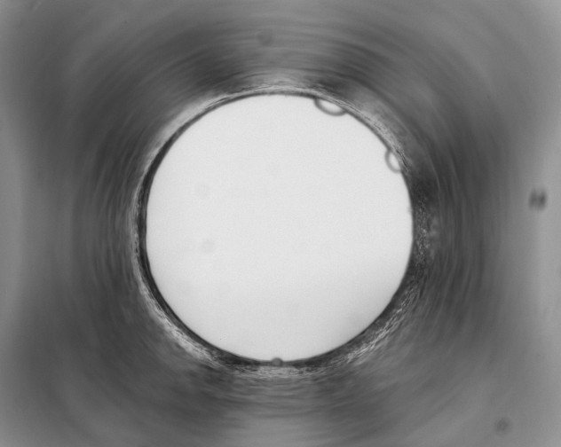 X0000098111142200805021127