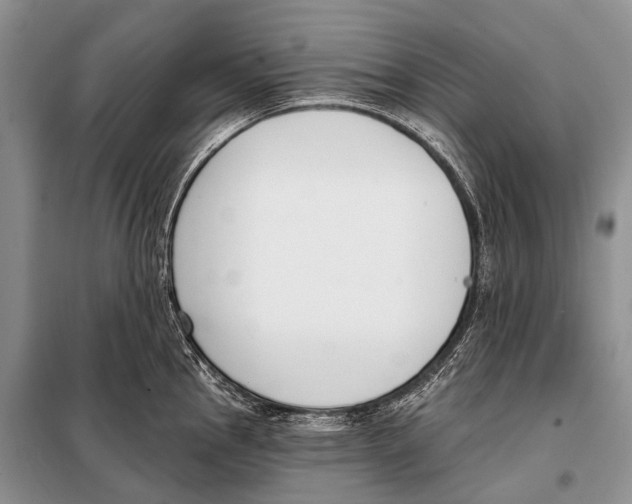 X0000098111145200805021127