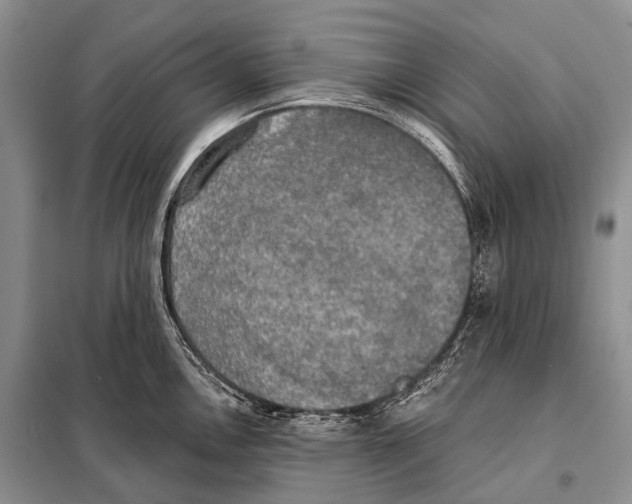 X0000098111146200805021127