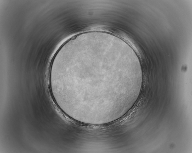 X0000098111148200805021127