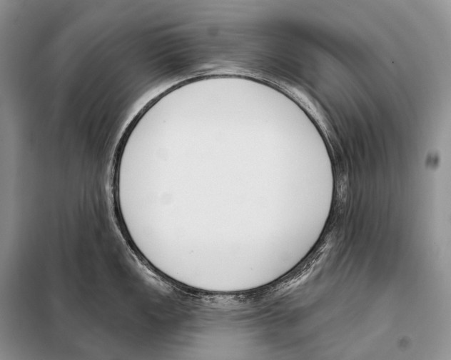 X0000098111149200805021127