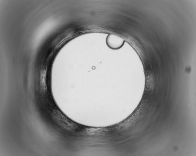 X0000098111150200805021127