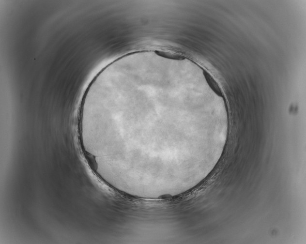 X0000098111152200805021127