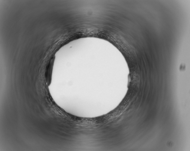 X0000098111153200805021126