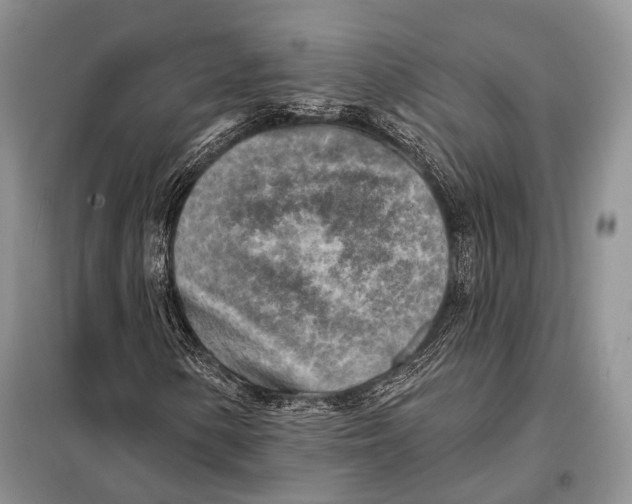 X0000098111154200805021126