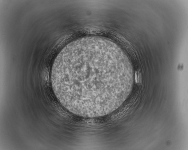 X0000098111155200805021126