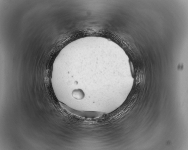 X0000098111156200805021126