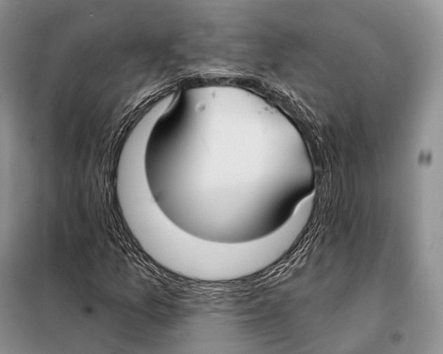 X0000098111157200805021126