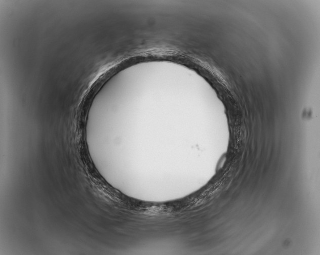 X0000098111160200805021126