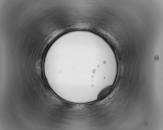 X0000098111162200805021126