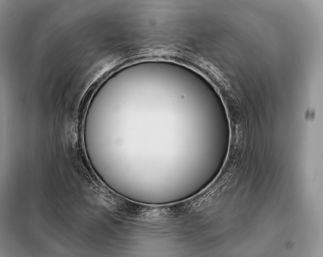 X0000098111165200805021126