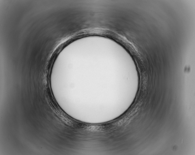 X0000098111166200805021126