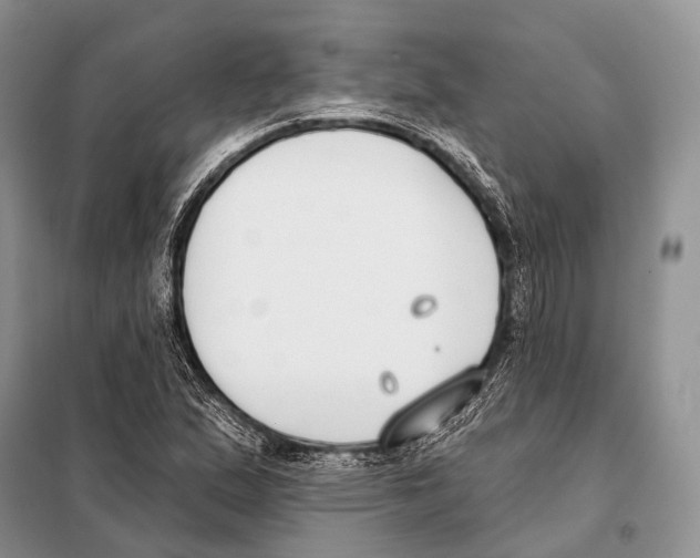 X0000098111167200805021126