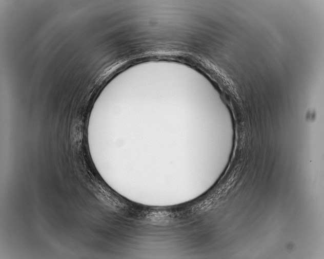 X0000098111169200805021126