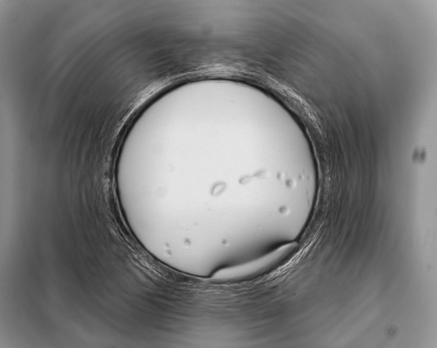 X0000098111170200805021126